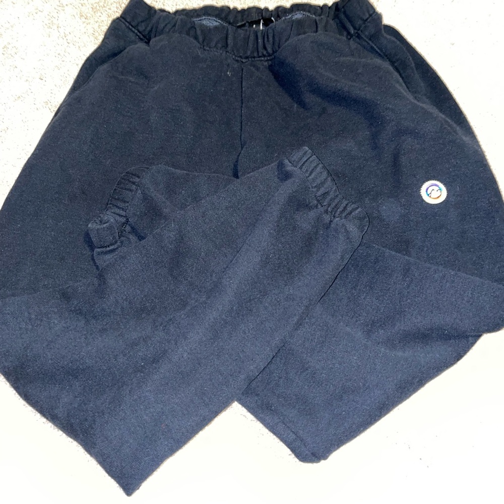 Patagonia sweatpants